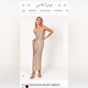 Petal + Pup Gold Liza Pleated Maxi Dress